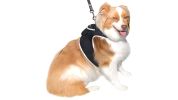 Waterproof Collar Realtime Pet GSM GPS Tracking Device Location Finder Size:L