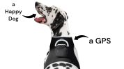 Waterproof Mobile Phone Pet Tracking System Realtime GPS Locator + App Size:L