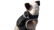 Waterproof Collar Pet Tracker Realtime GSM GPRS Tracking + Buckle Clip Size:L