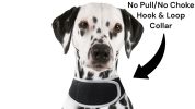 Waterproof Mini Pet Tracker GSM GPRS Collar Tracking Sys w/ Geo-Fence Size:L