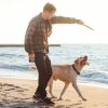 990Ft Range Dog Wireless Fence Remote Training Collar Ipx6 Waterproof Receiver With 0-9 Levels Beep Vibration Shock Mode 4 Channels Rechargeable Trans