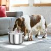 2L/67.6Oz Automatic Electric Pet Water Fountain Stainless Steel Pet Drinking Fountain Cat Dog Water Dispenser With Water Level Ultra-Quiet Pump
