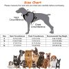 Light Up Dog Harness Rechargeable Led Dog Harness No Pull Lighted Dog Vest With Handle For Small/Medium/Large Dogs