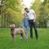 Ipx7 Waterproof Electric Dog Training Collar Rechargeable Receiver Beep Shock For Small Medium Large Dogs